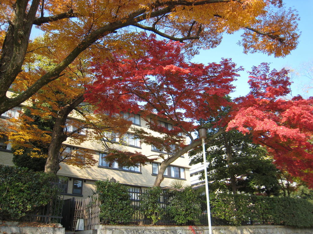 Kkr Kyoto Kuniso Ξενοδοχείο Εξωτερικό φωτογραφία